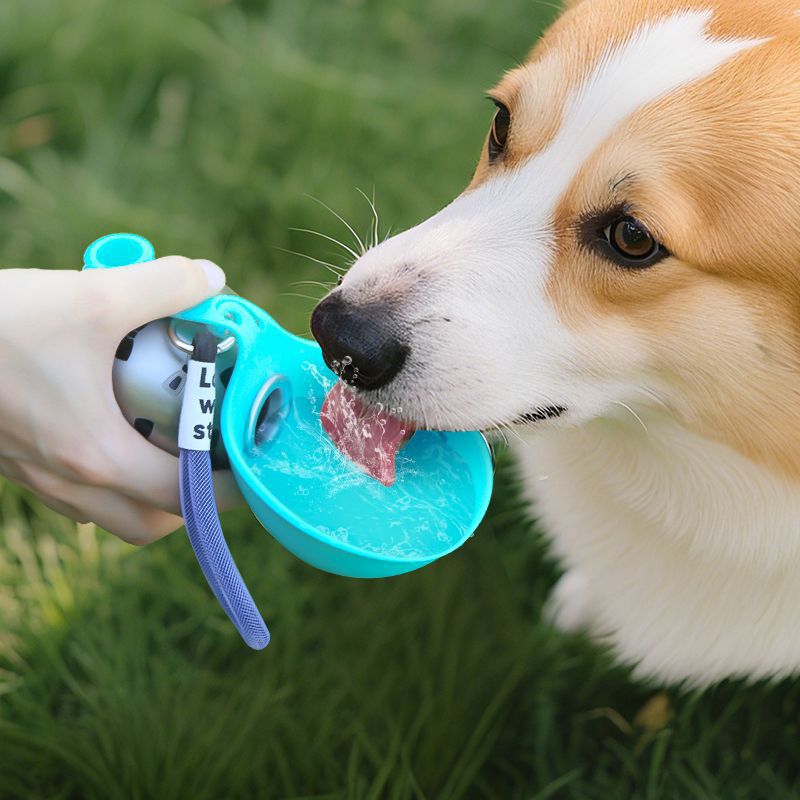 Botella de Agua Portátil para Perros 🐾 Sin BPA · Antigoteo · Lista para Aventuras