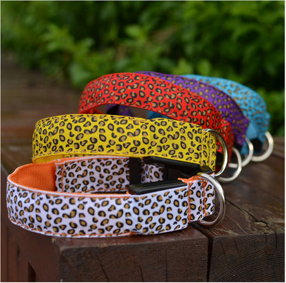 Collar LED Luminoso para Perros – Paseos Nocturnos con Mayor Visibilidad