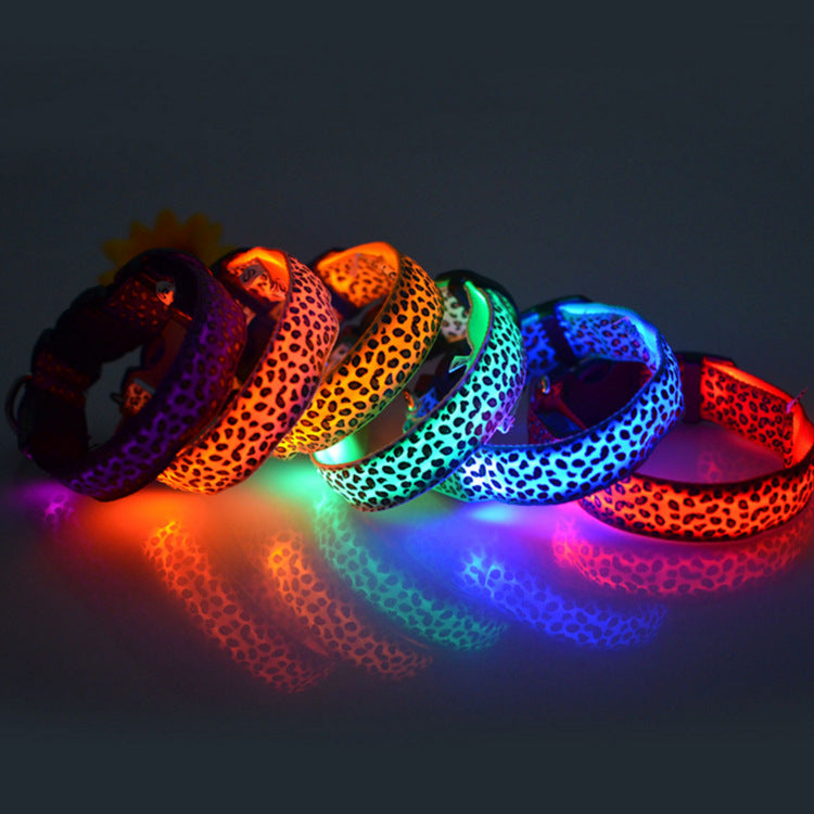 Collar LED Luminoso para Perros – Paseos Nocturnos con Mayor Visibilidad