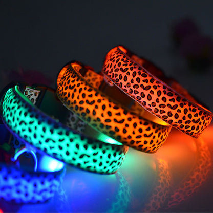Collar LED Luminoso para Perros – Paseos Nocturnos con Mayor Visibilidad