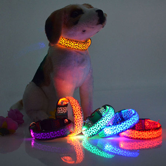 Collar LED Luminoso para Perros – Paseos Nocturnos con Mayor Visibilidad